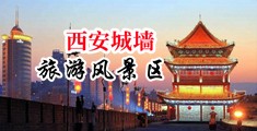 强奸木鱼天中国陕西-西安城墙旅游风景区